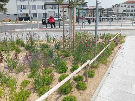 PHOTO-2025-10-28-13-58-58 (1).jpg